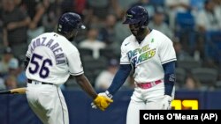 Yandy Díaz (2) de los Rays de Tampa Bay celebra con Randy Arozarena (56) luego de que Díaz conectó un jonrón ante el lanzador abridor de los Yankees de Nueva York Jhony Brito, el 5 de mayo de 2023, en San Petersburgo. Florida. (Foto AP/Chris O'Meara)