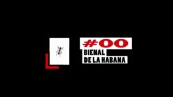 "Estamos echando todo en este proyecto", dicen organizadores de la Bienal00