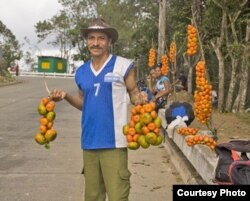 Vender mandarinas en Guantánamo no da lo mismo que venderlas en La Habana.