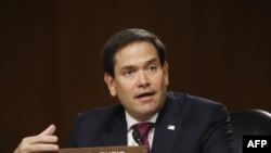 El senador republicano por la Florida, Marco Rubio, el 5 de mayo de 2020. (Andrew Hamik / Pool / AFP).