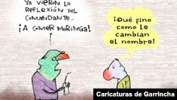 Caricaturas de Garrincha